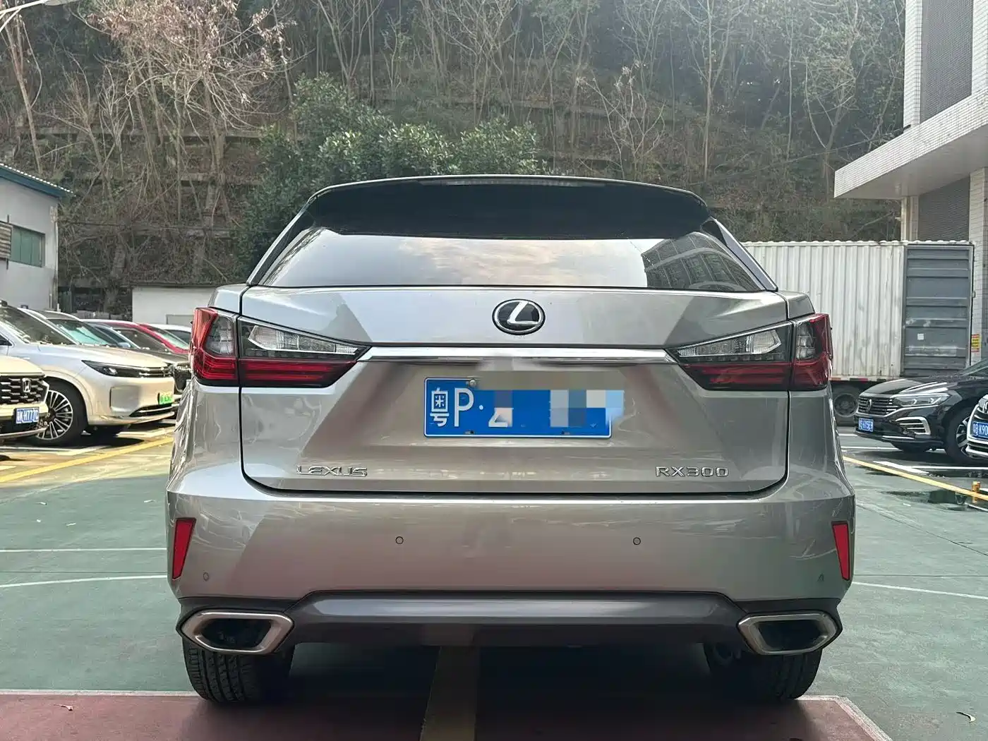 Lexus RX 2016 300 4WD Elegance Edition (China V) фото 5