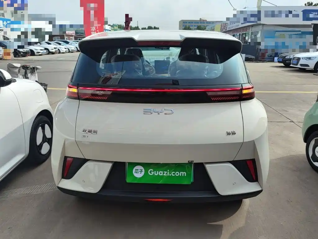 BYD Seagull 2026 2025 Smart Drive Edition 305km Vitality Version