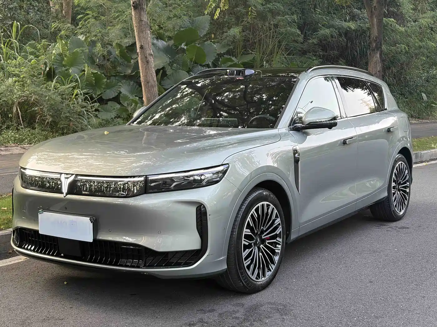 Voyah Auto VOYAH FREE 2025 — пригон из Китая