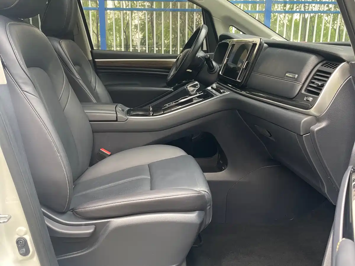 GAC Trumpchi Trumpchi M8 2021 Master Series 390T Prestige Edition фото 11
