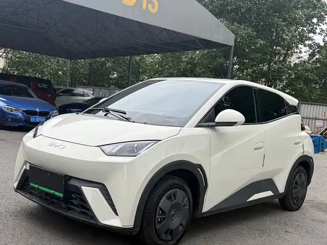 BYD Seagull 305km, Энергия
