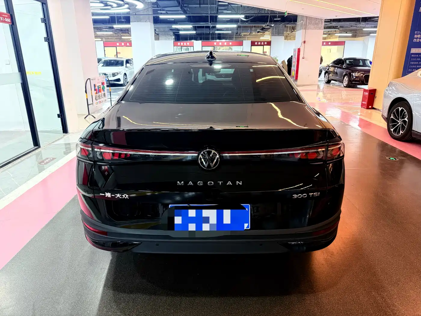 Volkswagen Magotan 2024 300TSI DSG Premium Edition фото 13