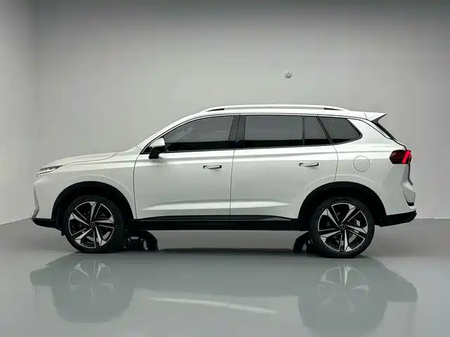 Roewe RX5 MAX 2021 2022 1.5T Auto Youwei Flagship