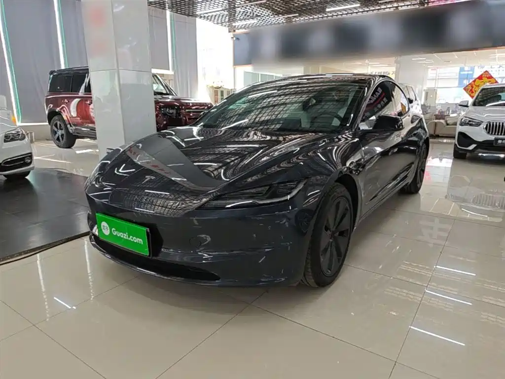 Tesla Model 3 2025 Model Rear-Wheel Drive Edition