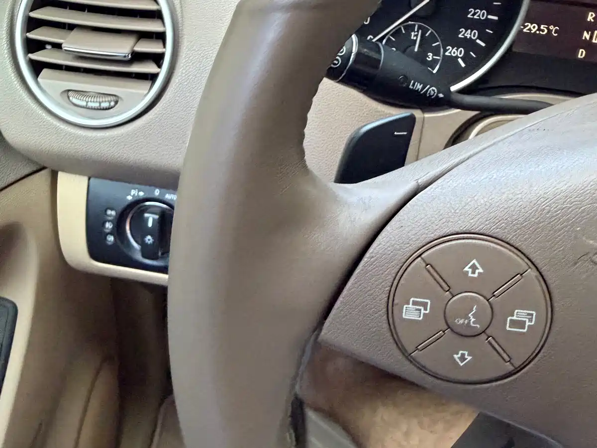 Mercedes-Benz M-Class 2010 ML 350 4MATIC Luxury фото 8