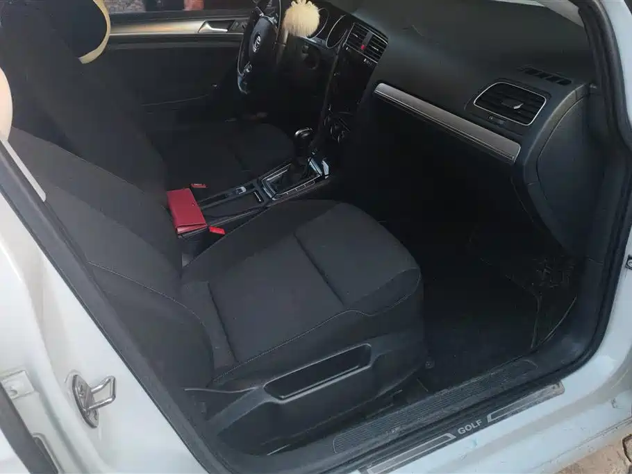 Volkswagen Golf 2019 200TSI DSG Comfort Progressive China VI фото 8