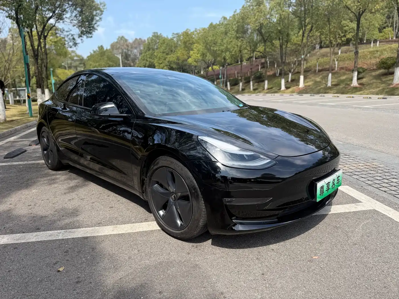 TESLA MODEL 3