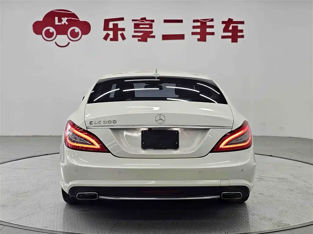 Mercedes-Benz CLS 2012 CLS 300 CGI фото 13