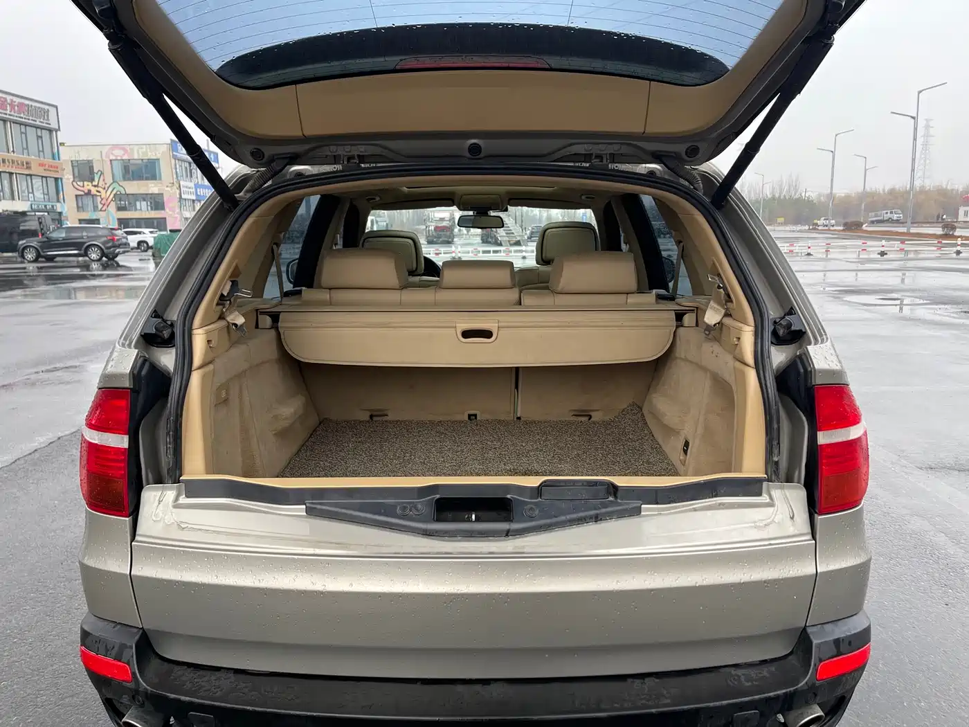 BMW X5 (Import) 2009 xDrive30i Luxury фото 13