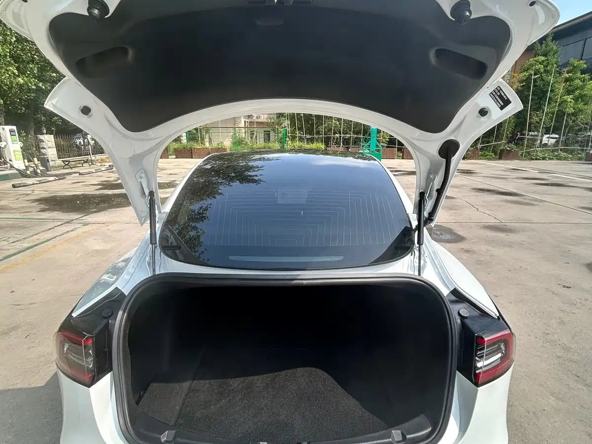 Tesla Model 3 2020 2019 Standard Range Rear-Wheel Drive Upgrade