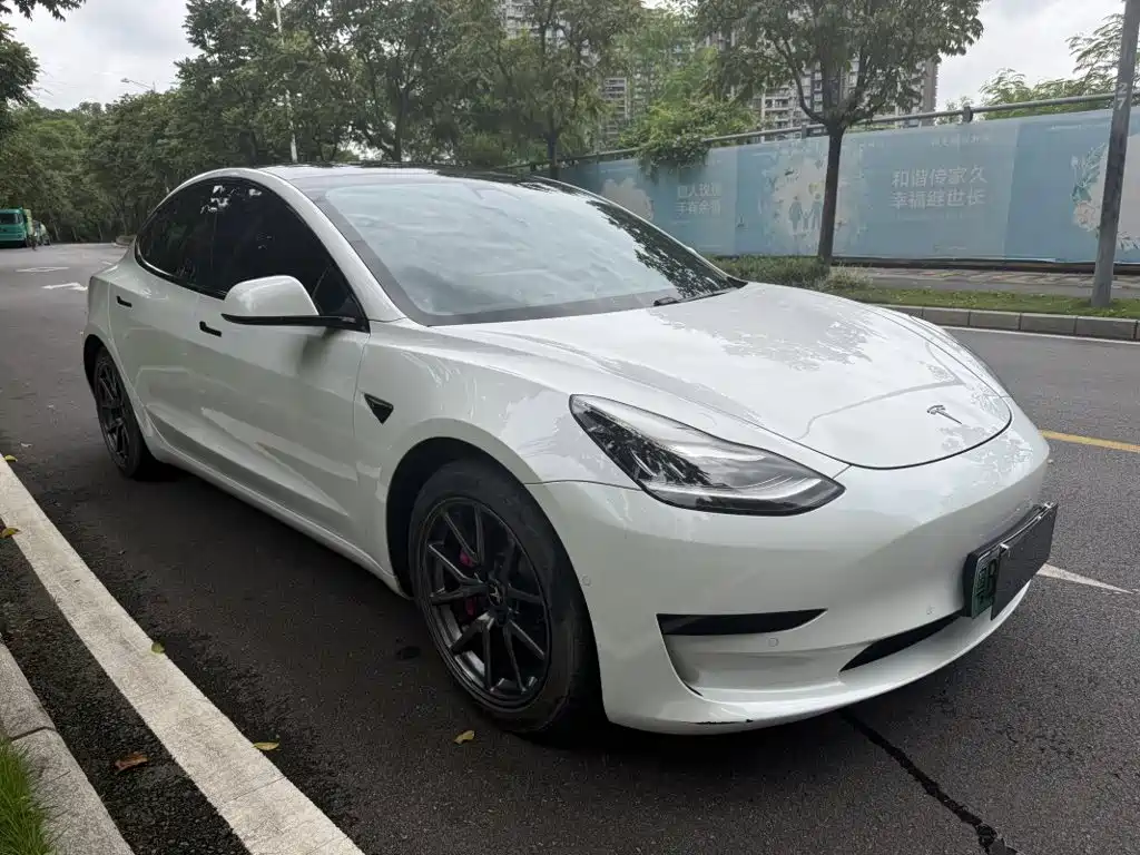 Tesla Model 3 2020 2020 Standard Range Rear-Wheel Drive Upgrade