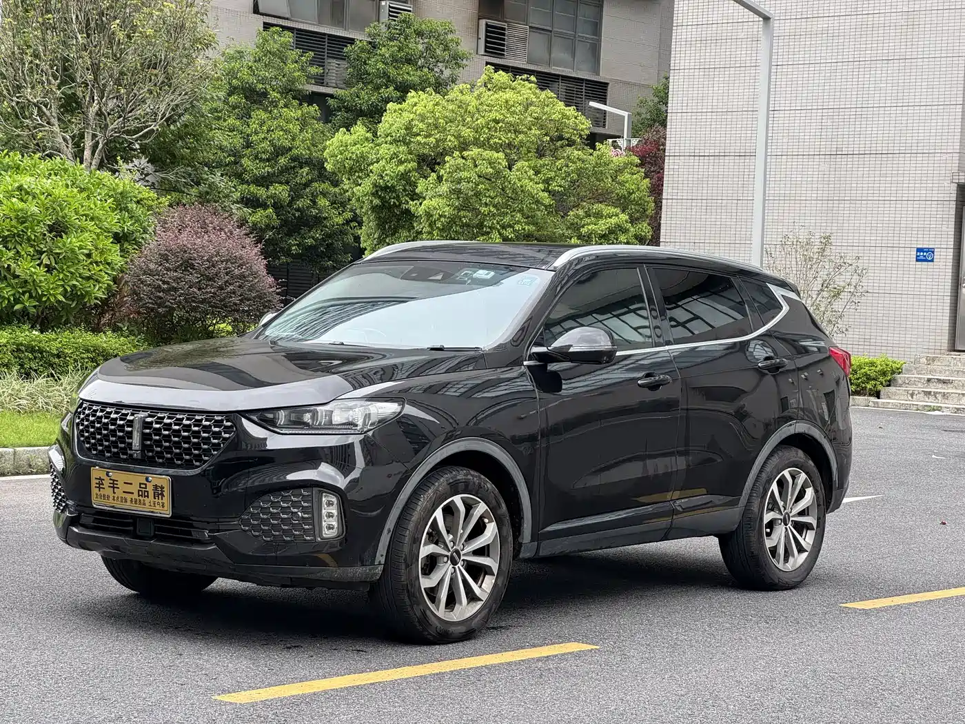 Фото 3 - WEY VV6