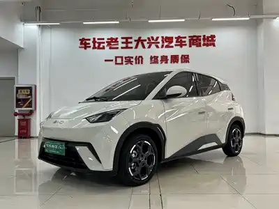 BYD Seagull