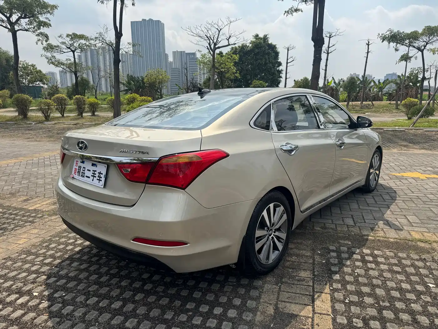 HYUNDAI NAME PICTURE