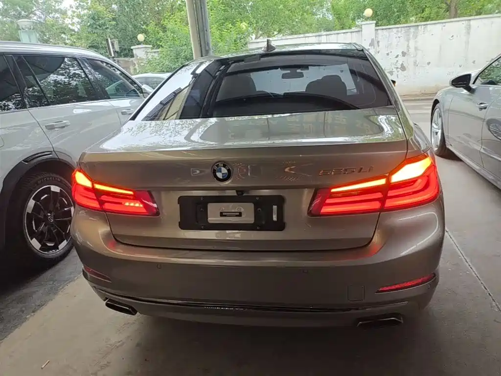 BMW 5 Series 2020 525Li Luxury Package фото 6
