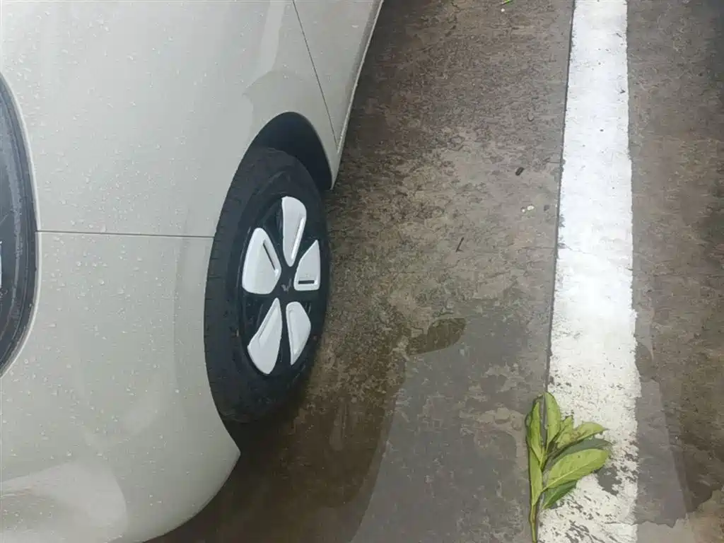 Wuling Motors Hongguang MINIEV 2026 2025 4-Door Advanced