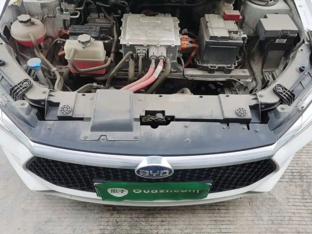 BYD e2 2021 2020 Upgrade Standard Range Standard Model