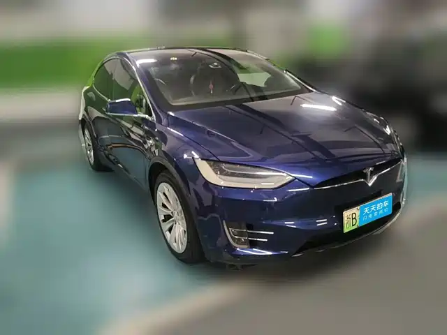 Tesla Model X 2019 Long Range Version — фото 3