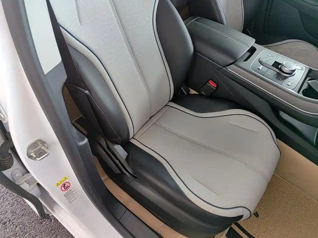 BYD Destroyer 05 2025 2024 Glory Edition DM-i 55KM Luxury
