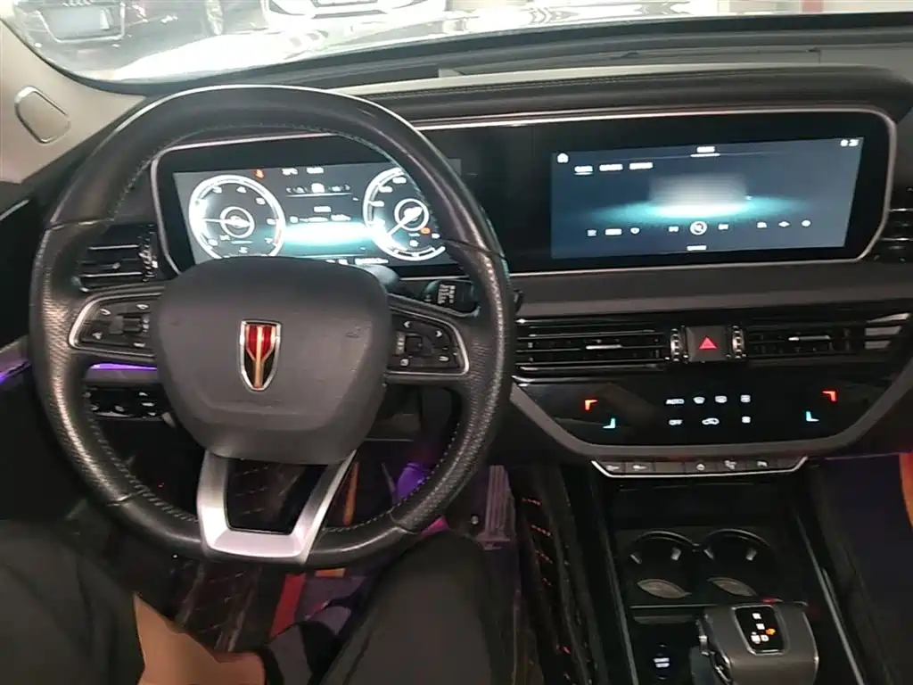 Hongqi HS5 2019 2.0T Smart Connect Enjoy 4WD Edition фото 10