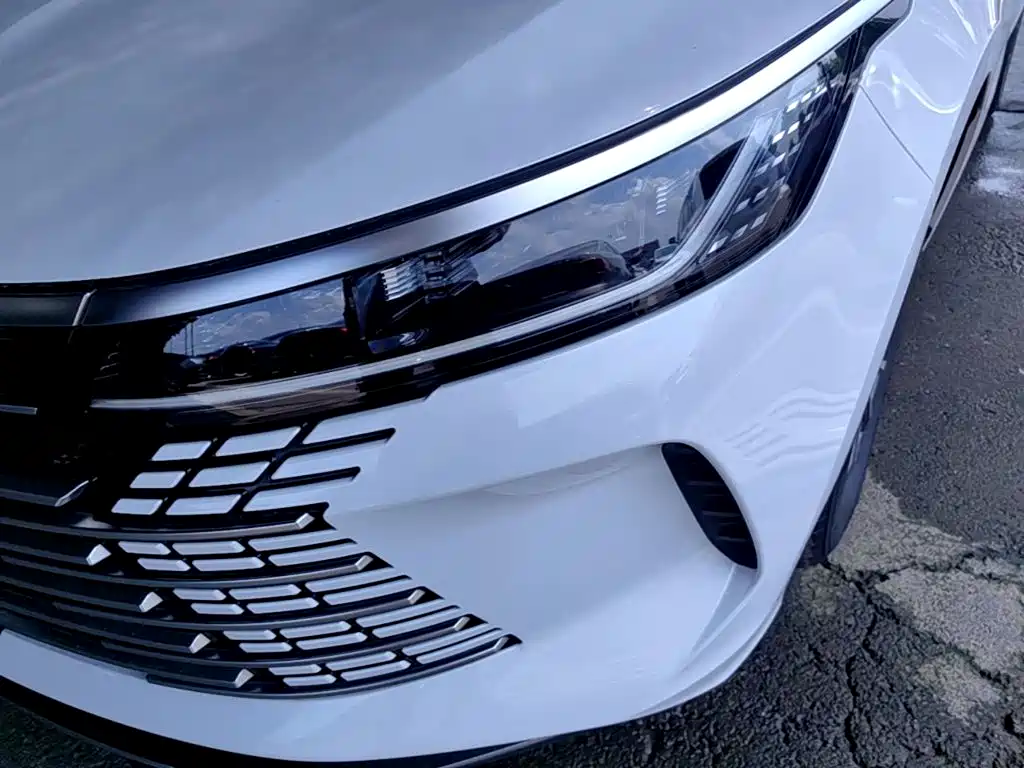 BYD Destroyer 05 2025 2024 Glory Edition DM-i 55KM Luxury