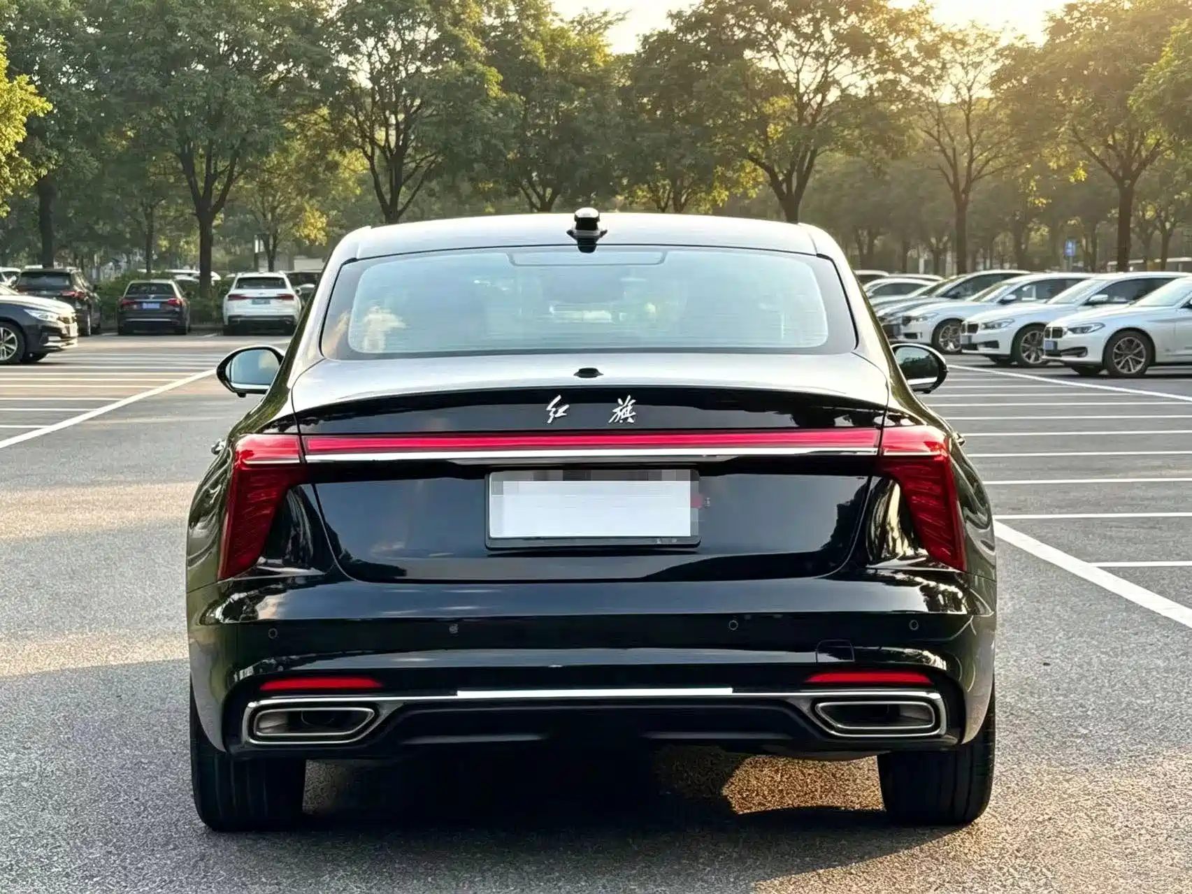Фото 10 - Hongqi H5