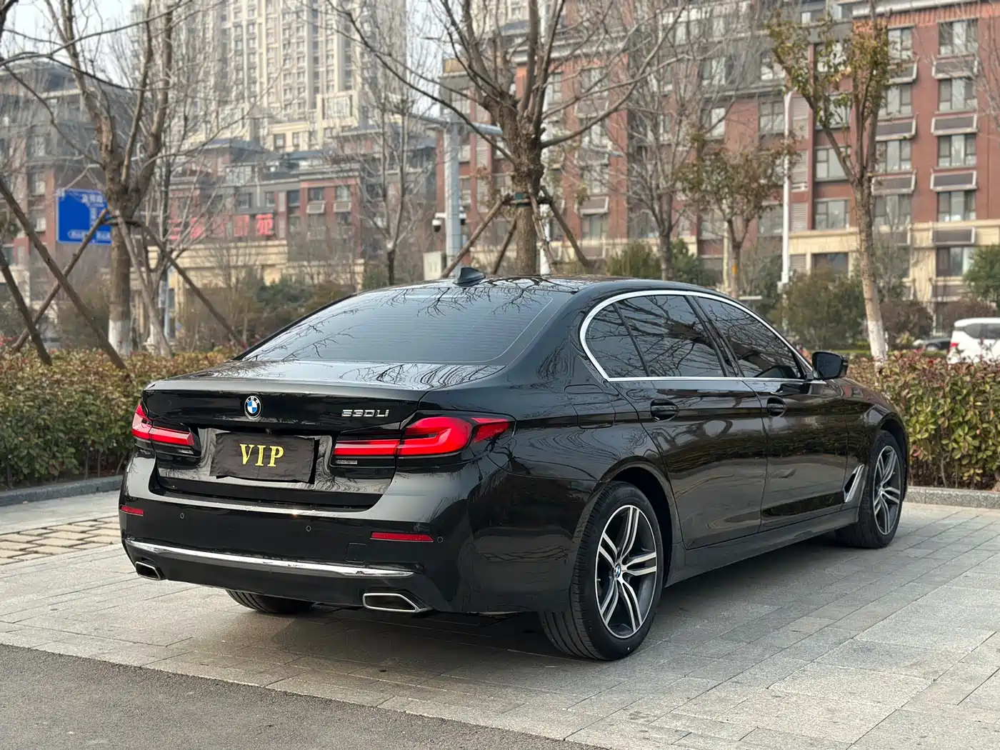 BMW 5 Series 2021 530Li Leading Luxury Package фото 8