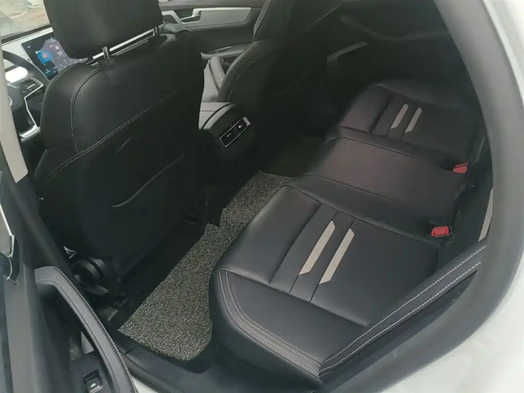 BYD Qin Pro New Energy 2019 DM Super Edition 1.5TI Automatic Smart Connected Jin Xuan Type China VI фото 13