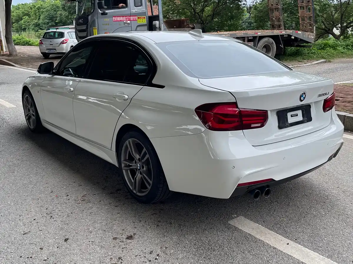 BMW 3 Series 2018 320Li Leading M Sport Package фото 10