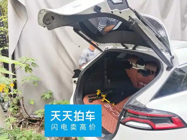 BYD Tang New Energy 2021 DM-i 112KM Honor — фото 5