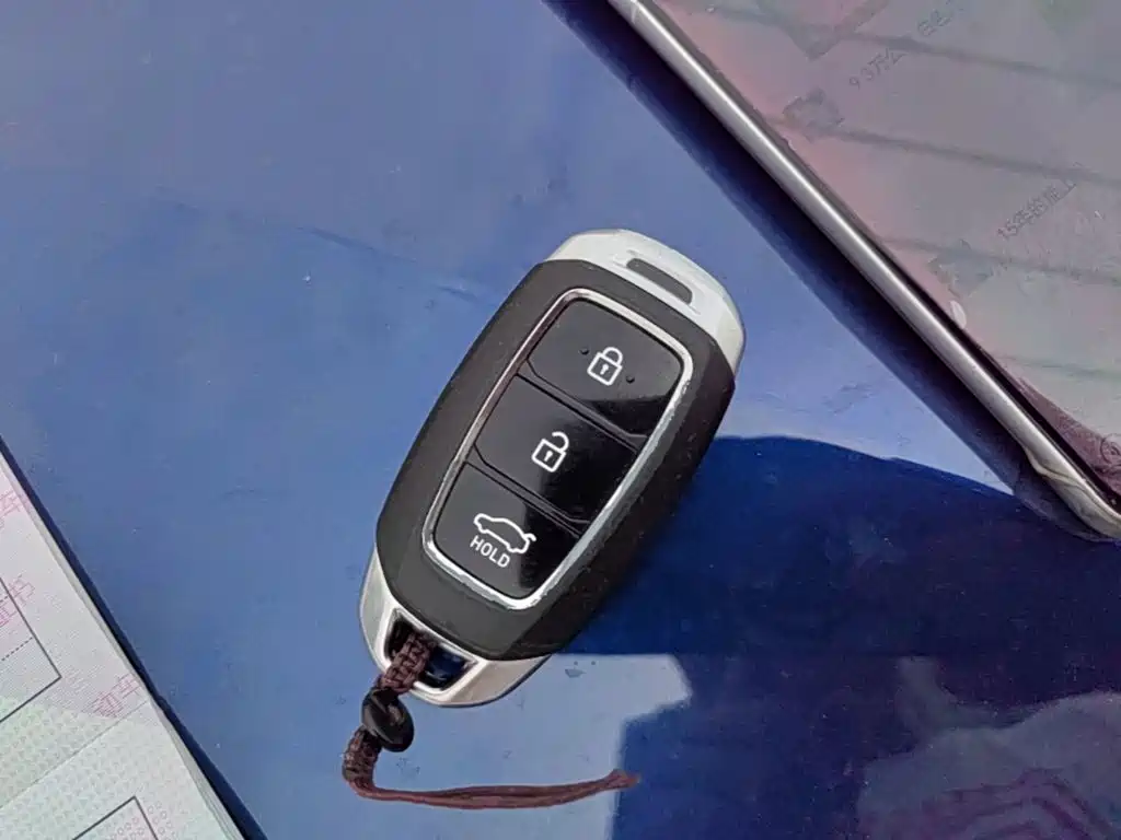 صورة 9 - Hyundai Lafesta