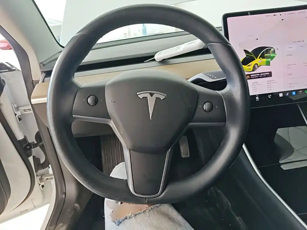 Tesla Model 3 (Import) 2019 2019 Long Range RWD Version
