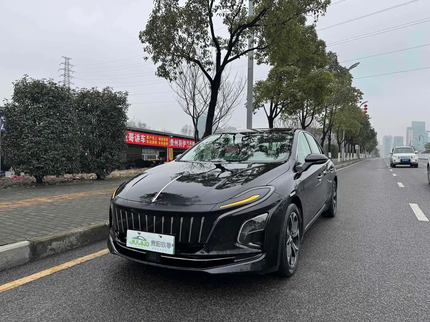Фото 2 - Hongqi E-QM5