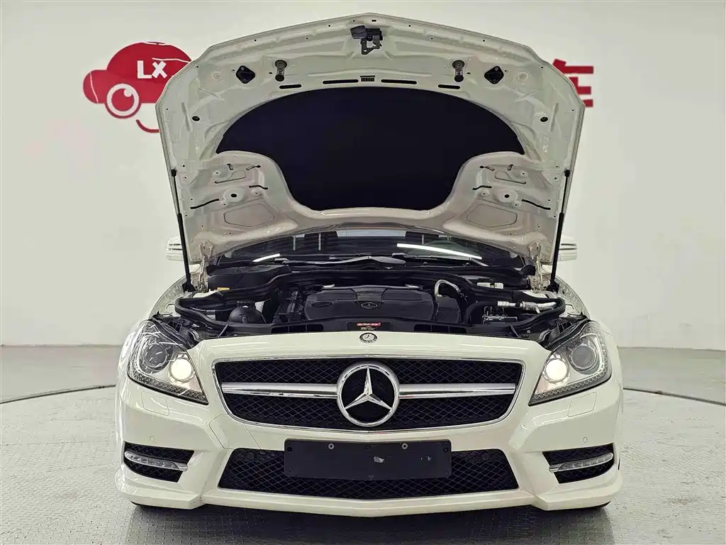 Mercedes-Benz CLS 2012 CLS 300 CGI фото 28