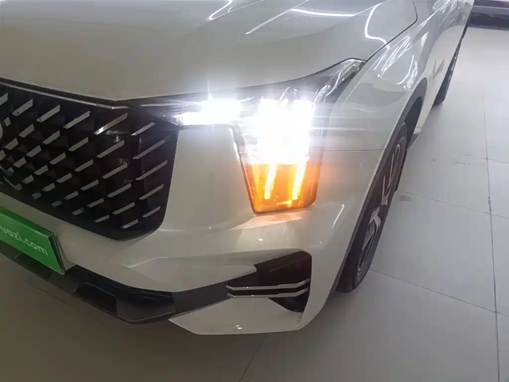 GAC Trumpchi Trumpchi GS8 2022 Pilot Series 2.0TGDI 4WD Luxury Smart Connect Edition (7-Seater) фото 24