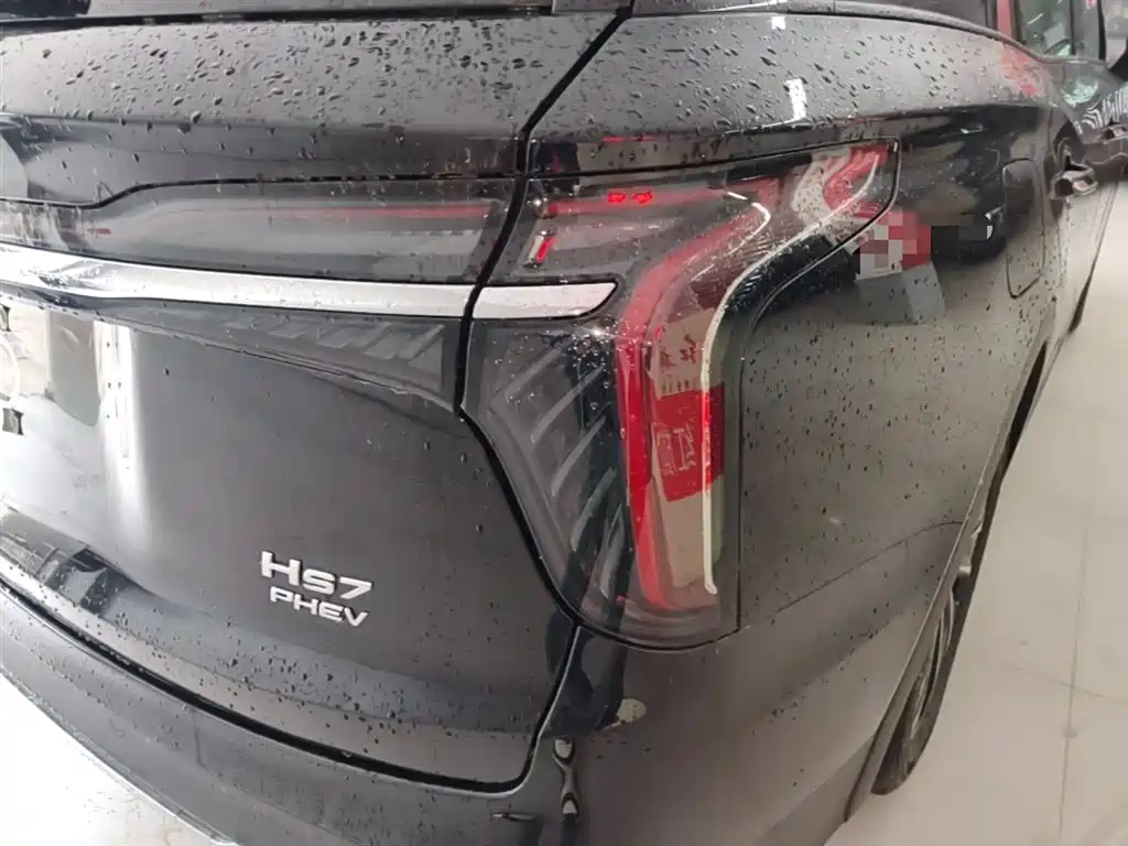 Hongqi HS7 PHEV 2024 2.0T PHEV 4WD Flagship Edition 6-seater фото 8