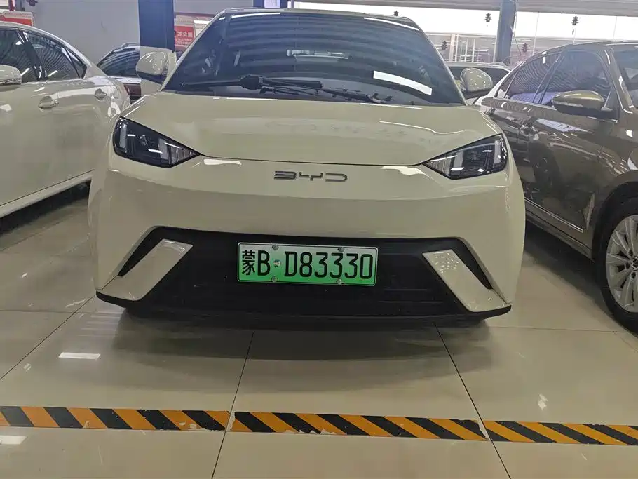 BYD Seagull 2023 Vitality Edition фото 2