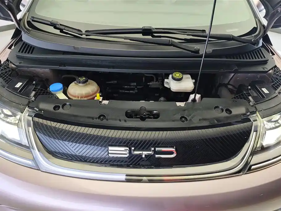 BYD Dolphin 2022 2021 Model 405km Fashion Edition