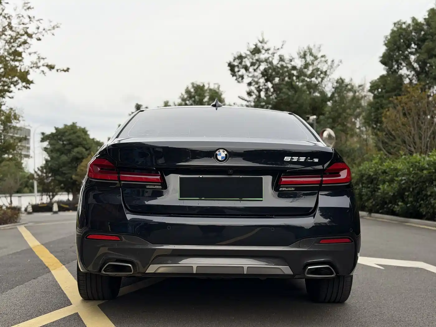 BMW 5 SERIES NEW ENERGY