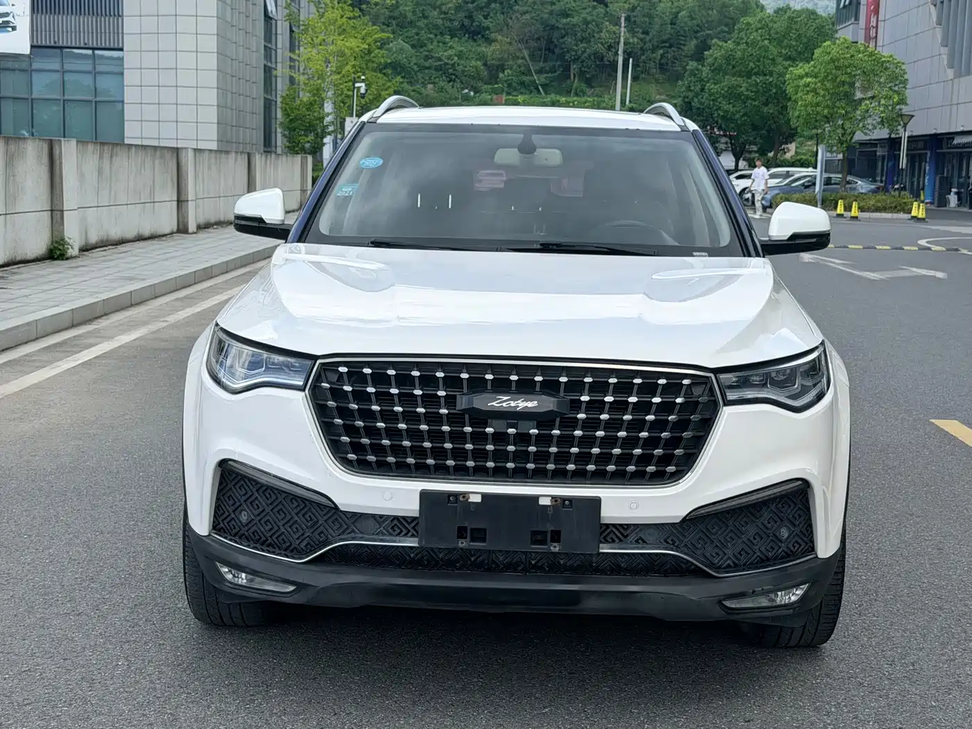 2019 Zotye T700