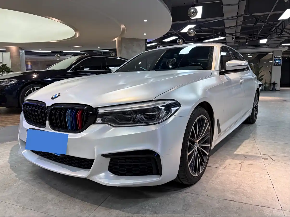 BMW 5 Series 2020 530Li Leading M Sport Package