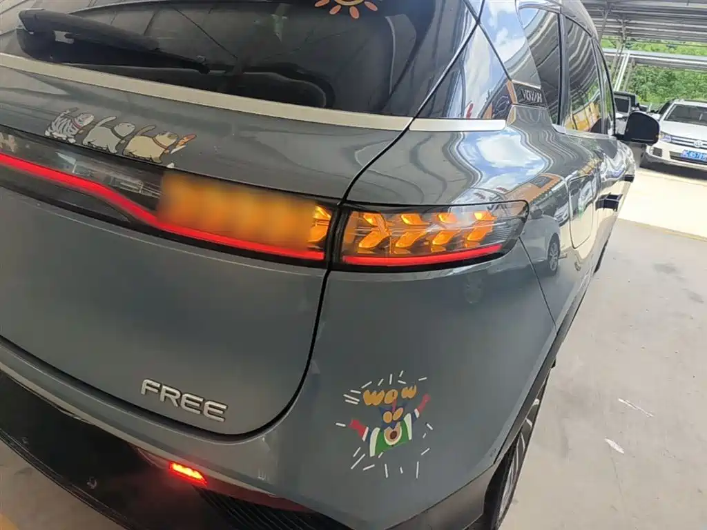 Voyah Auto VOYAH FREE 2021 AWD Standard Range Extender Exclusive Luxury Package фото 8