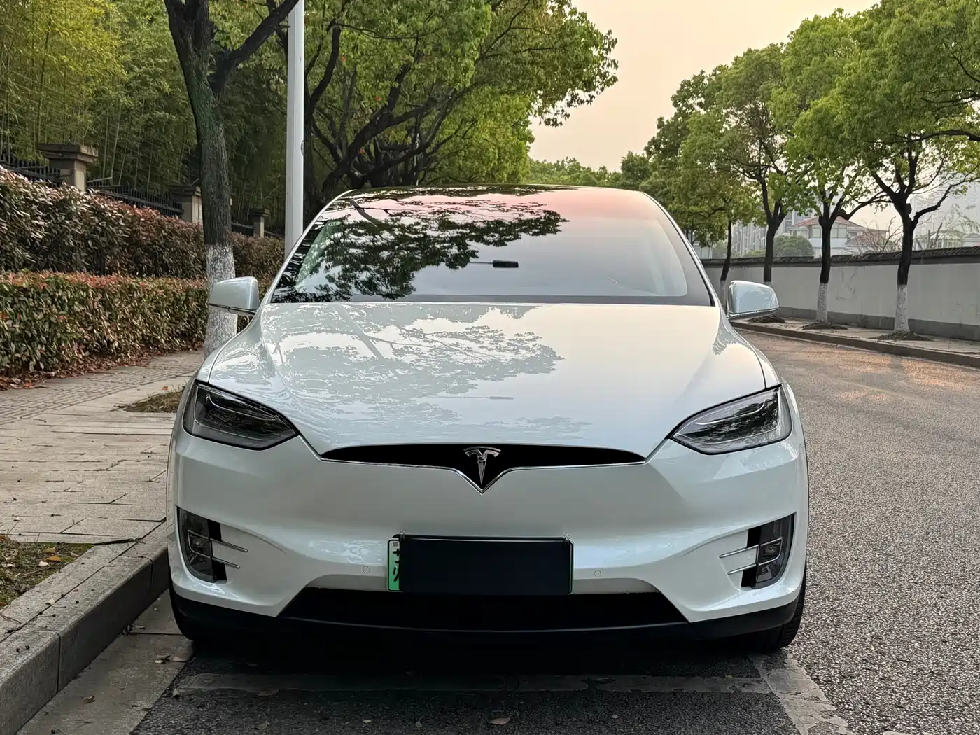 TESLA MODEL X