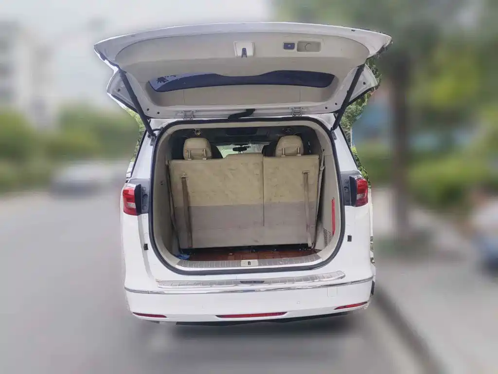 Фото 13 - Buick GL8