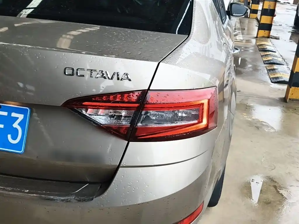Škoda Octavia 2018 TSI230 DSG Luxury Edition фото 8