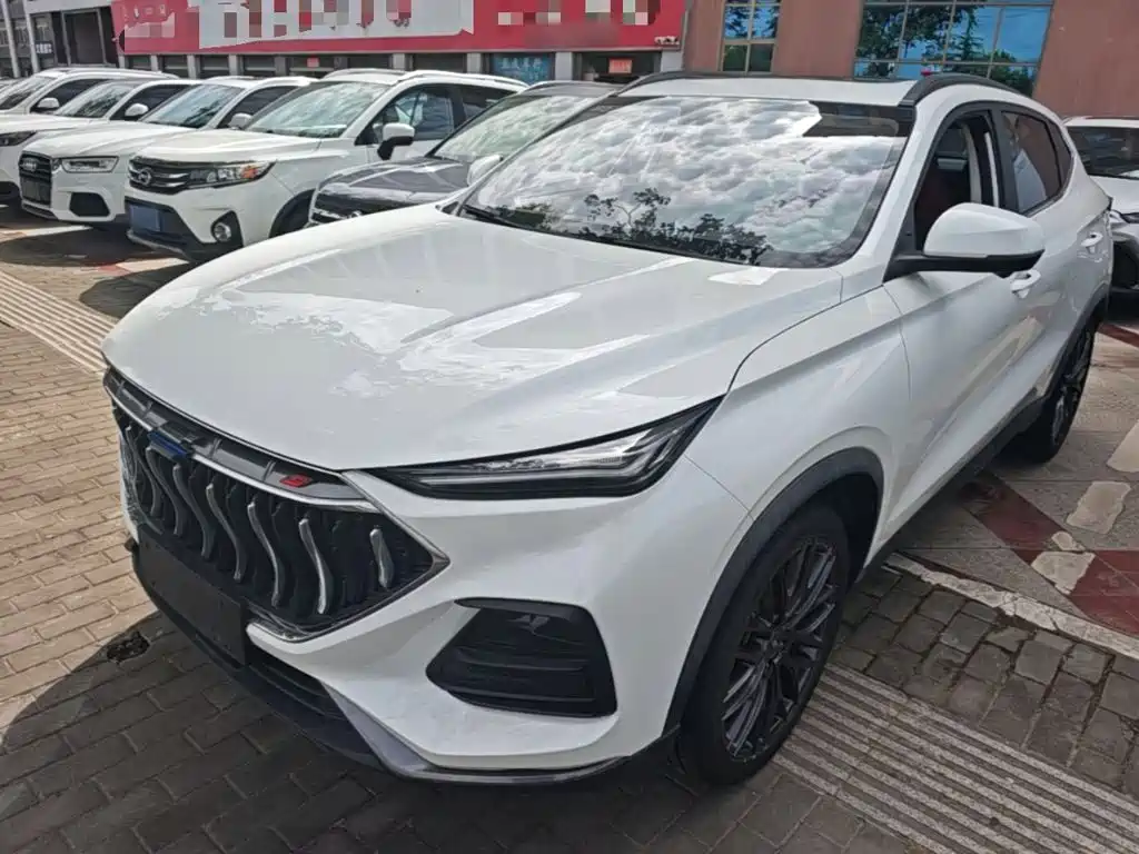 Фото 1 - Changan Oshan Changan Oushang X5