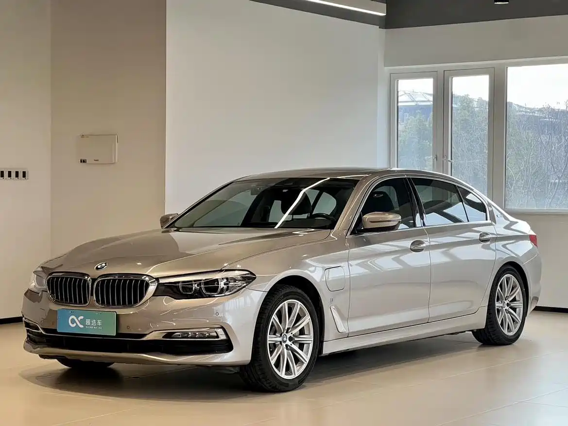 BMW 5 Series New Energy 2018 530Le Luxury Package