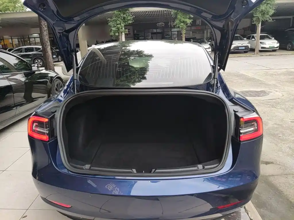 Tesla Model 3 (Import) 2019 2019 Long Range RWD Version