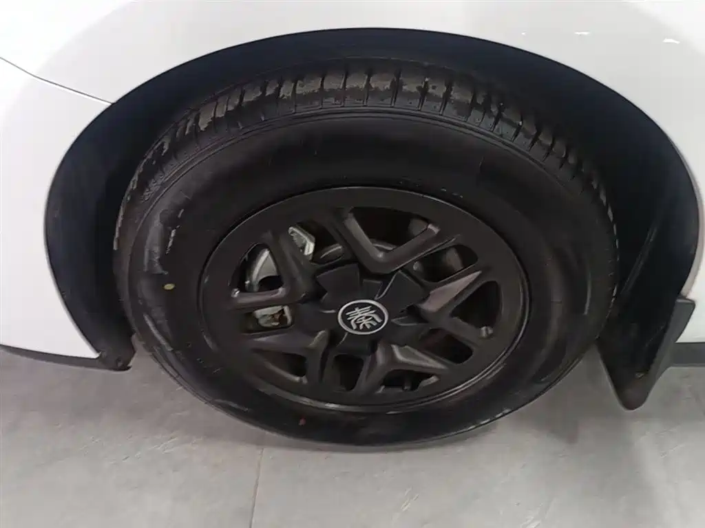 BYD Qin PLUS 2025 DM-i Smart Drive 55KM Leader фото 23