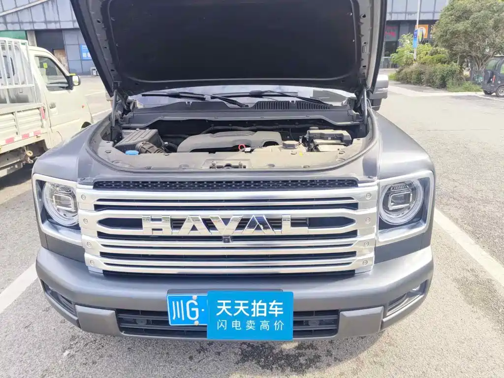 Haval H9 2025 2024 2.0T Gasoline AWD Extreme Edition